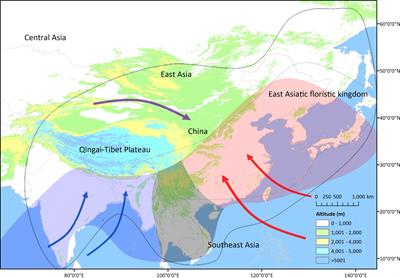 Monsoon intensification in East Asia triggered the evolution of its flora